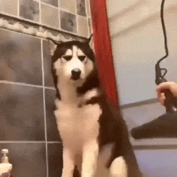 1679669671_25.gif