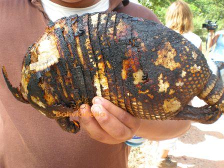 bolivia_beni_roast_armadillo.jpg