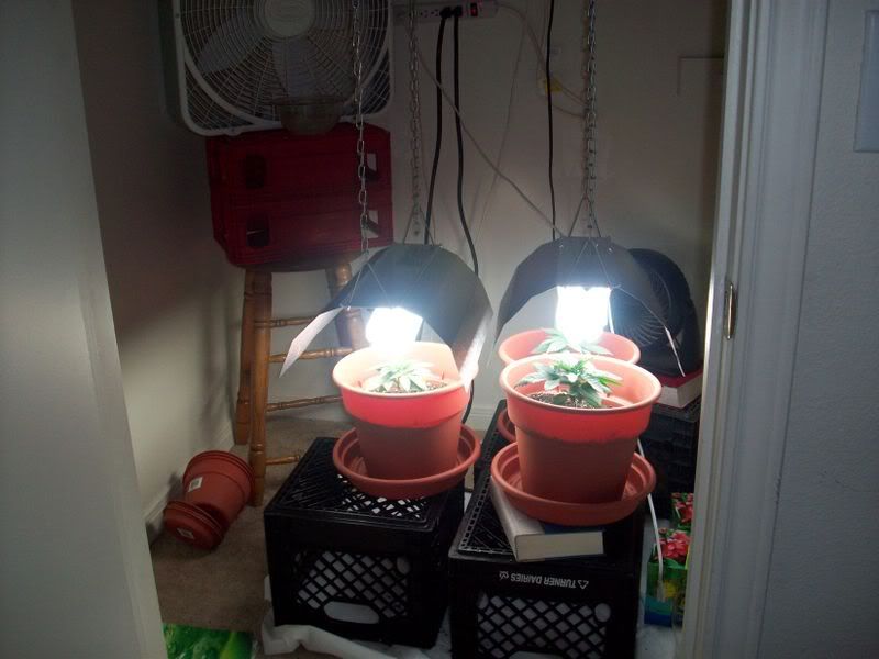 100_0286.jpg