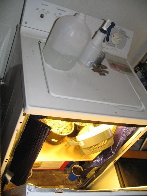 Picture005.jpg