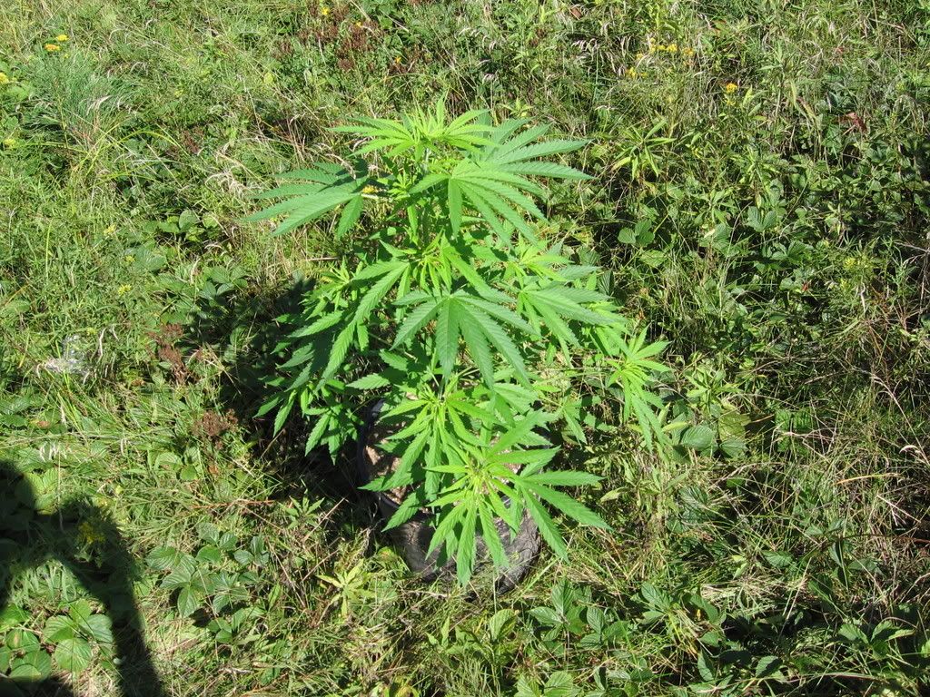 IMG_0589.jpg