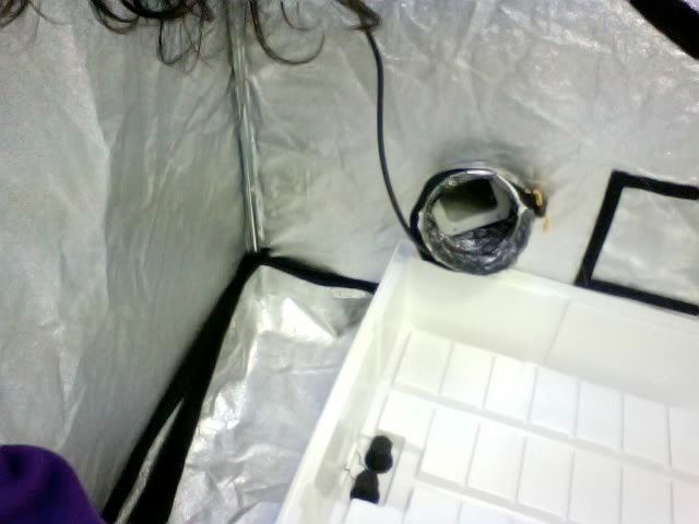 Photo14.jpg