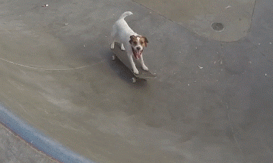 kxWESKJ.gif