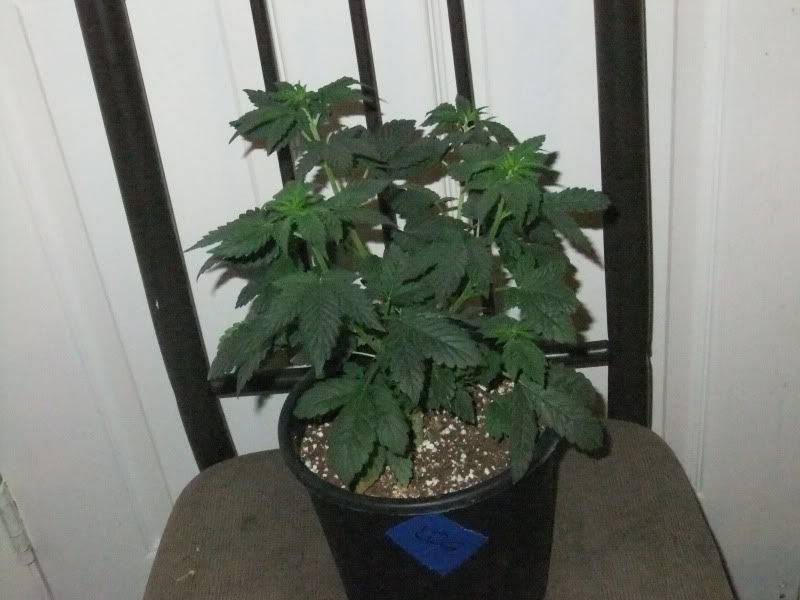 DSCF1101.jpg
