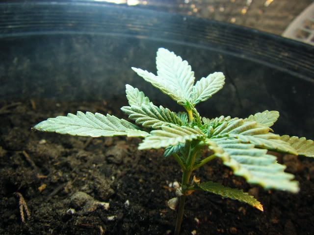mj090001.jpg