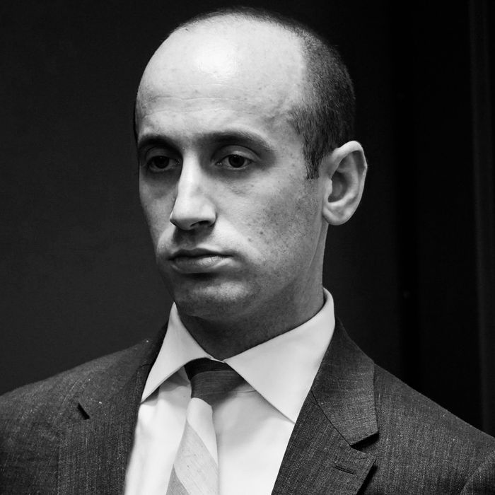 13-stephen-miller-1.w700.h700.jpg