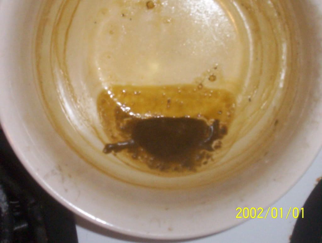 HoneyOil010.jpg
