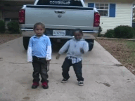 83056273.gif