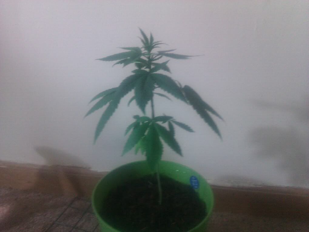 IMAG0564.jpg