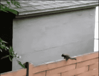 tumblr_mr8uoexfAr1srdvupo1_400.gif