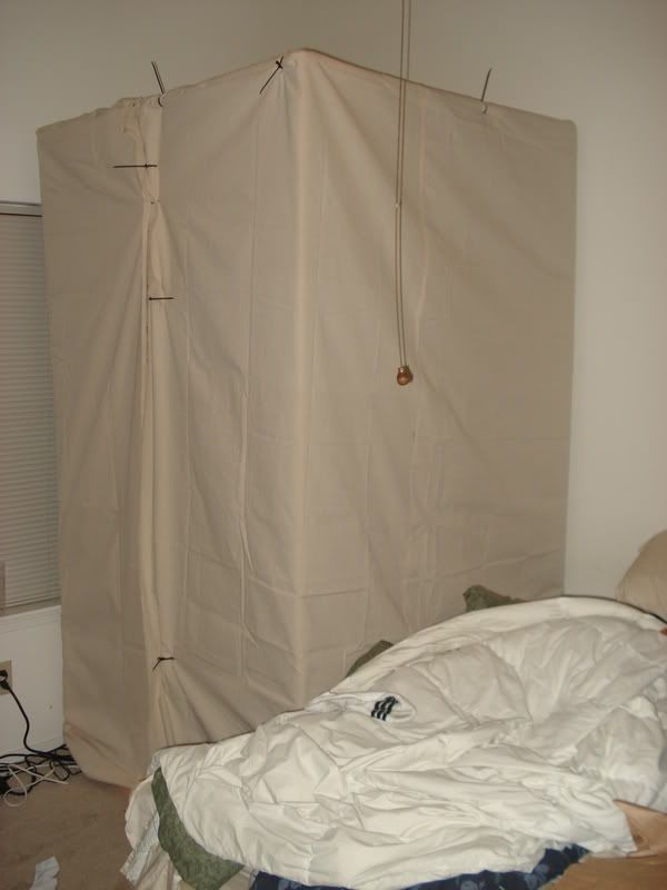 erinplantsxmasnov033.jpg