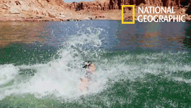 gifs_14.gif