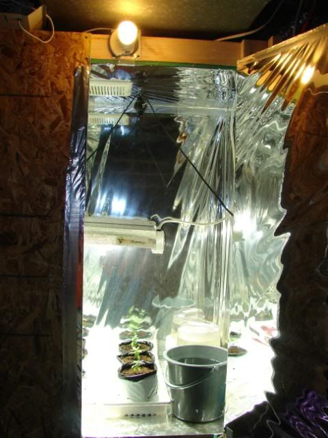 DSC05778.jpg