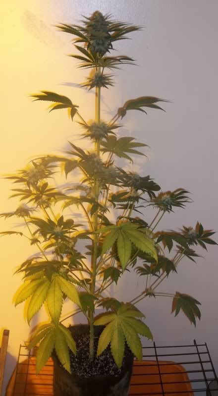 100_1283.jpg