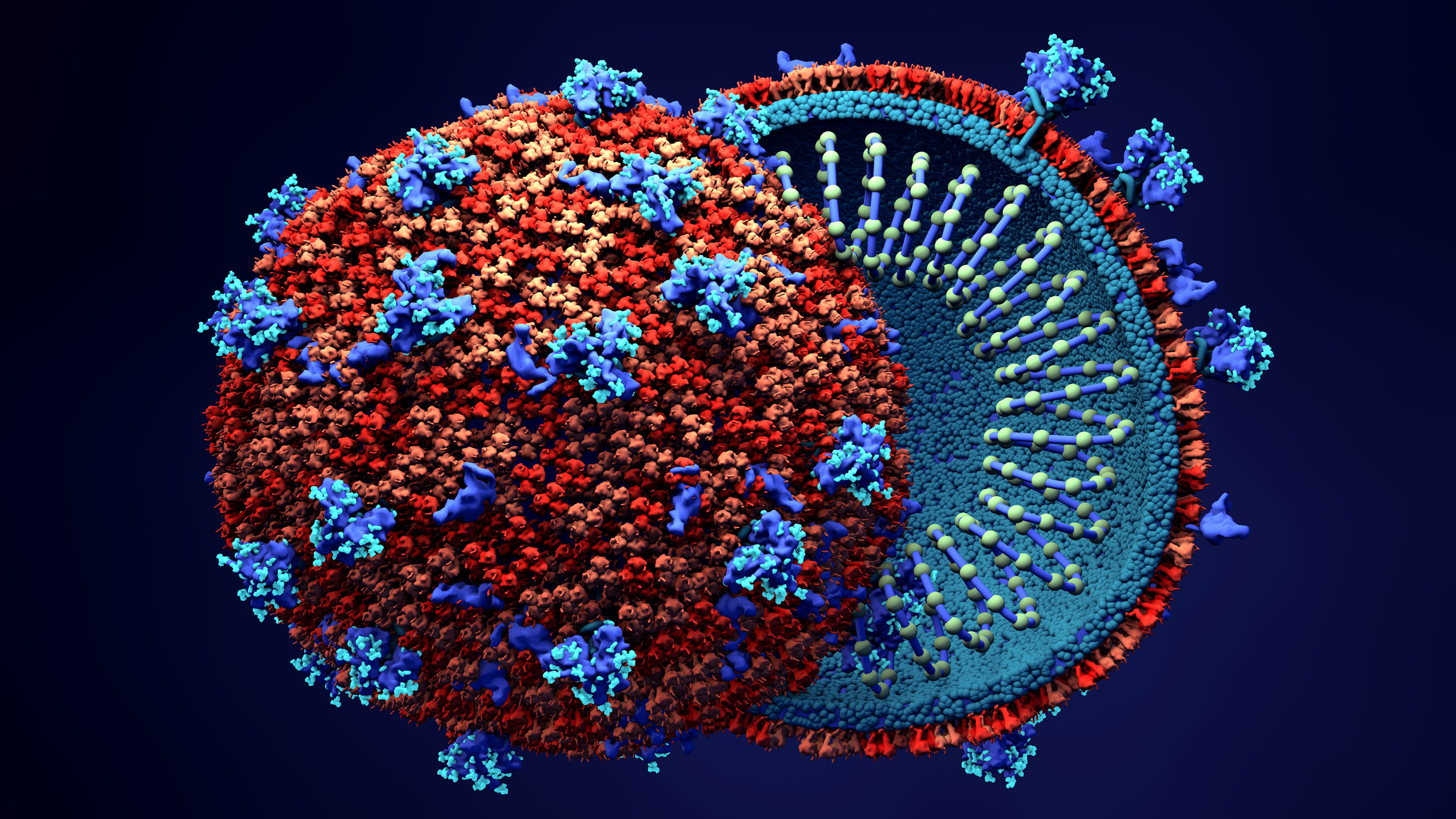 www.livescience.com