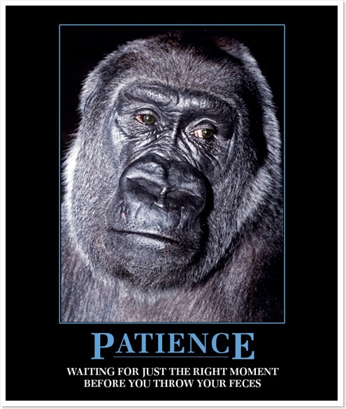 patience.jpg
