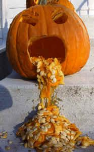 pumpkin_small.jpg