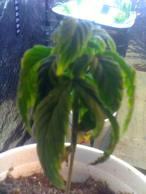 Apr11_0004.jpg