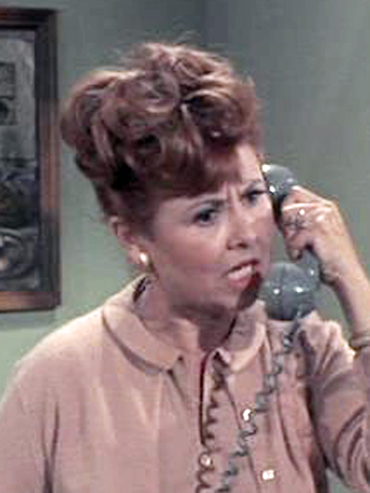 bewitched-sandra-gould-2.jpg
