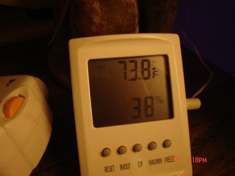 Picture038.jpg