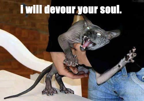 evil-1.jpg
