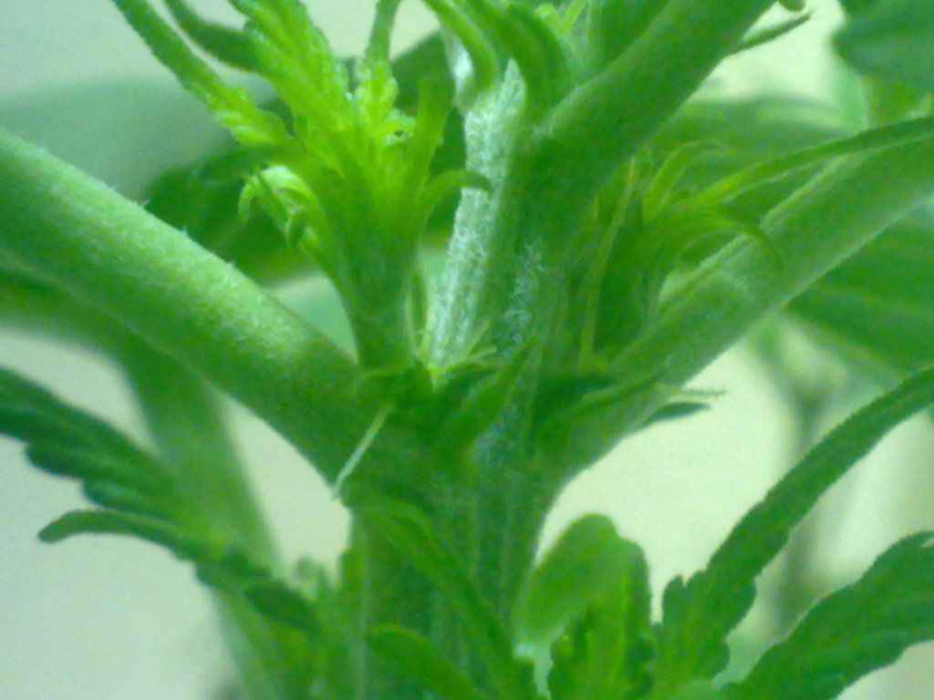 03072012542-1.jpg