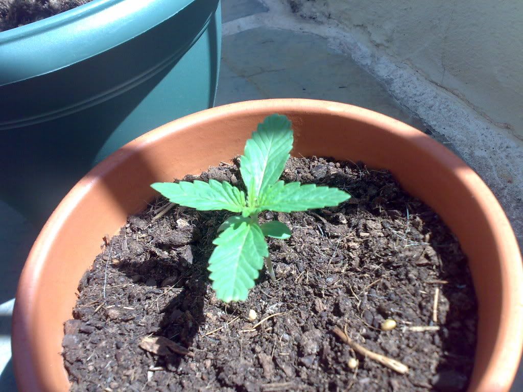15042008376.jpg
