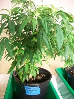 4-22-11014.jpg
