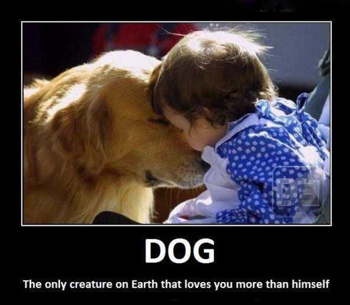 demotivators_picdump_04.jpg