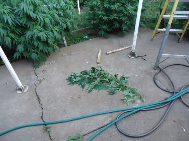 DSC05746.jpg