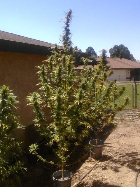 0902001303.jpg