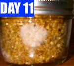 day-11-2.jpg
