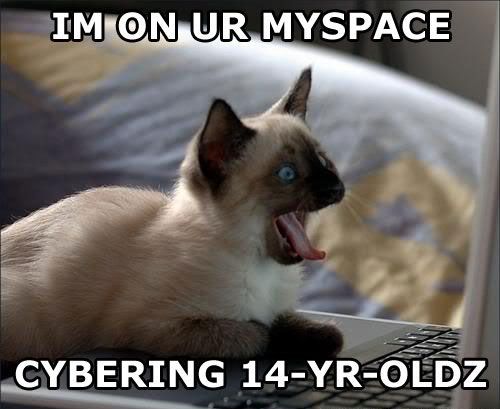 1164814158-myspacecatb.jpg