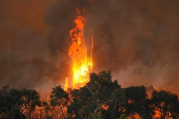 fire3.jpg