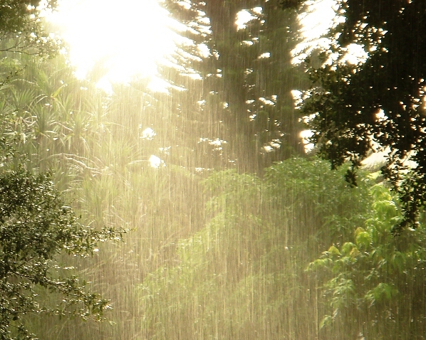 sunshower.jpg