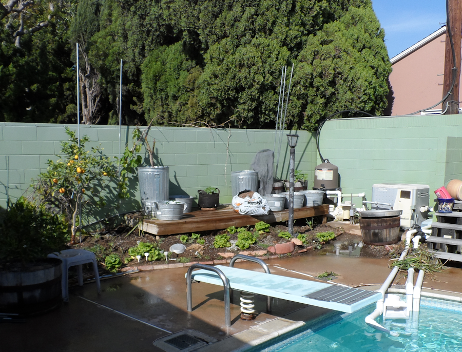 gardenMar24_2013_zpsf927c4f5.png
