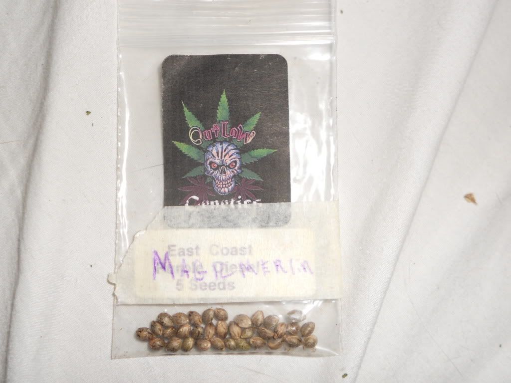 DSCN5979.jpg