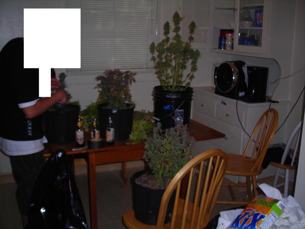 new.jpg