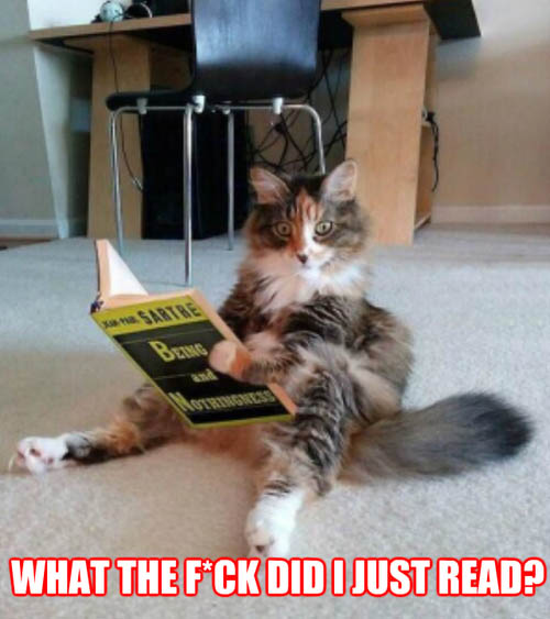funny-pictures-what-did-i-just-read-cat-book.jpg