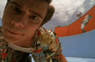 32316533465.gif
