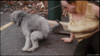 Gzqjs1I.gif