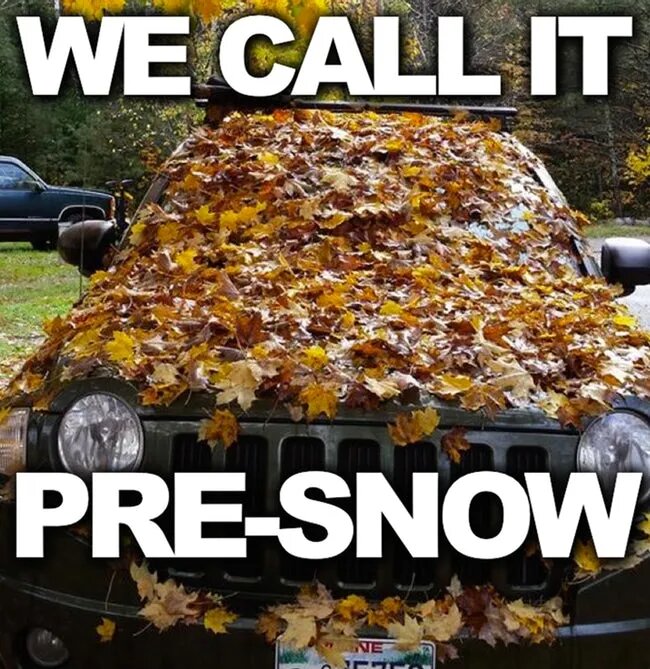 snow-winter-funny-meme.jpg