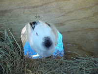 DSC01333.JPG