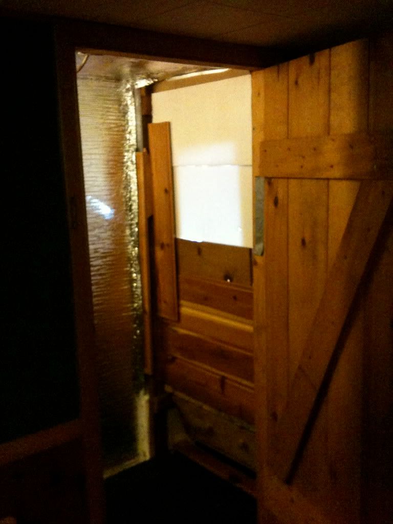 IMG_0550.jpg