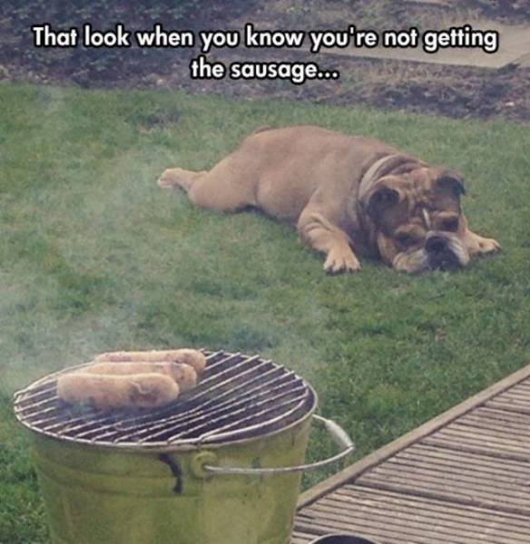 acid_picdump_65.jpg