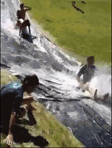 82980027.gif