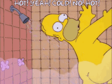 the-simpsons-homer-simpson.gif