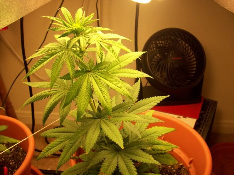100_0360.jpg