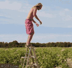 gifs_07.gif