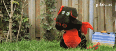 82968825.gif
